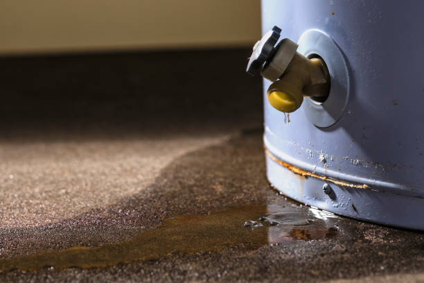 Best Water damage restoration experts  in Macclenny, FL