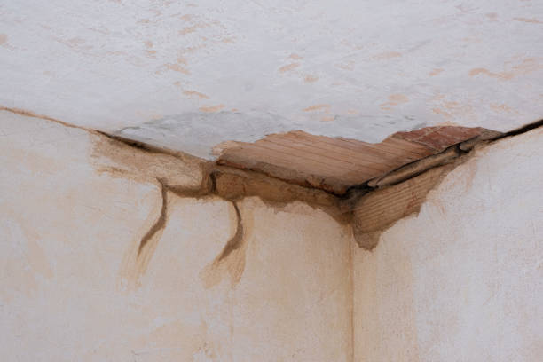 Best Carpet water damage restoration  in Macclenny, FL