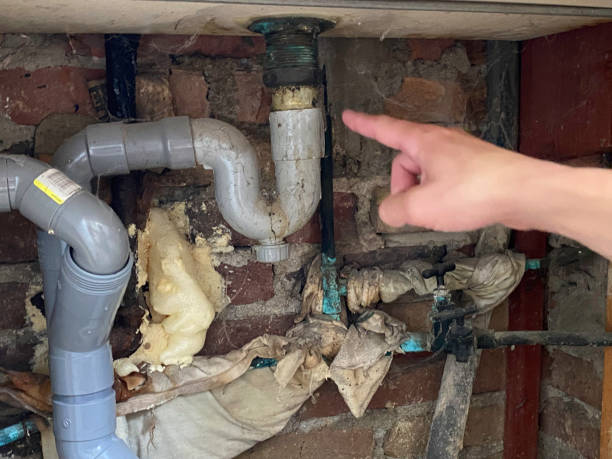 Best Local water damage restoration  in Macclenny, FL