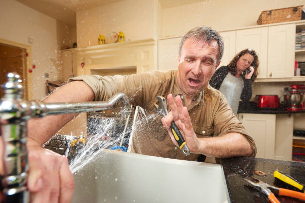 Best Professional water damage repair  in Macclenny, FL
